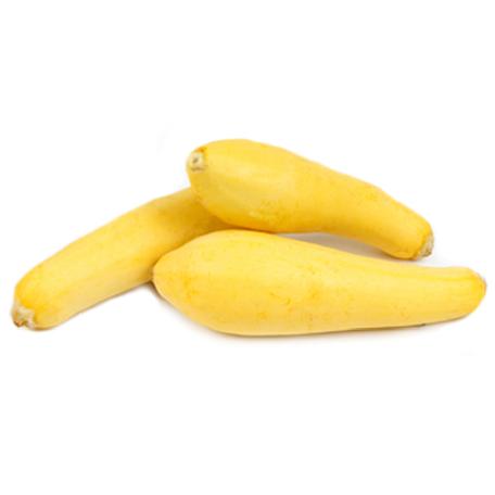 Squash (GOLDEN SUMMER CROOKNECK)