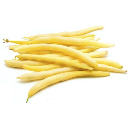 Bush Bean (GOLDEN WAX)