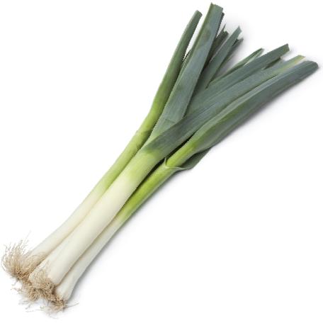 Onion (WHITE BUNCHING)