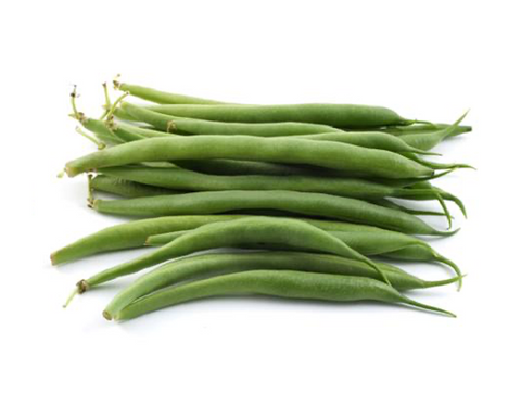 Bush Bean