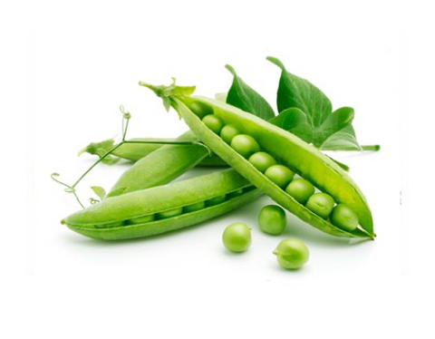 Pea (Sugar Ann)