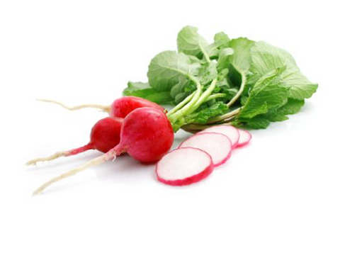 Radish (Early Scarlet Globe)