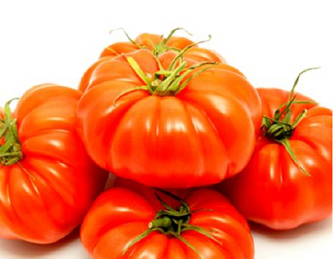 Tomato (Beefsteak)