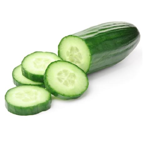 Cucumber (POINSETT 76)