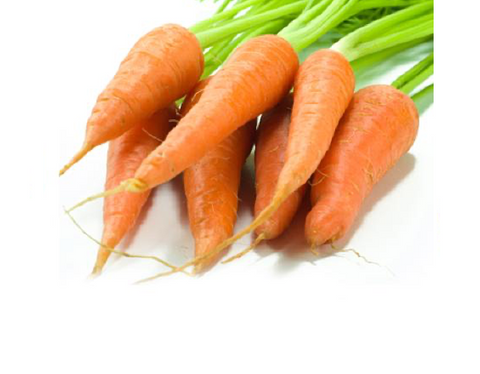 Carrot (Chantenay Red Cored)