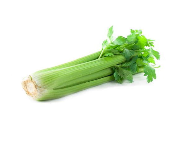 Celery (Tall Utah 52-72 Improved)