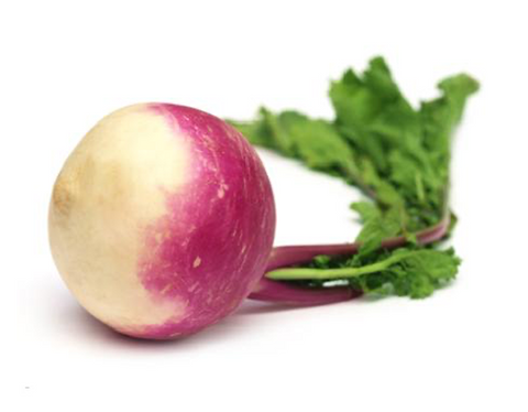 Turnip (Purple Top White Globe)